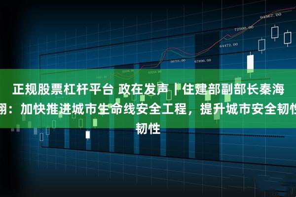 正规股票杠杆平台 政在发声｜住建部副部长秦海翔：加快推进城市生命线安全工程，提升城市安全韧性